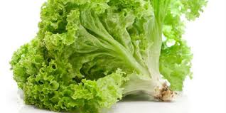 6 Manfaat Daun Selada Untuk Kesehatan Tubuh